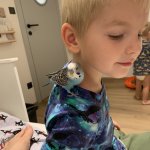 phoca_thumb_m_k.u. 7 Fotogalerie
